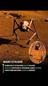 WHAT JUST EMERGED ON MARS?! Why Does This Creature Look NOTHING Like Anything We've Seen Before?” NASA images from the Martian surface have taken a terrifying turn — a strange, creature-like figure
