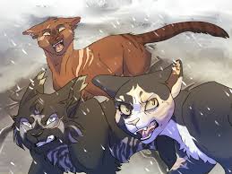 This tutorial shows the sketching and drawing steps from start to finish. Pin On Cats
