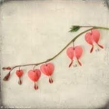 Tattoos Heart Flower Tattoo Bleeding Heart Flower Bleeding Heart Tattoo