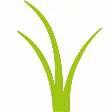 We did not find results for: Elite Lawn Care 19 Recommendations