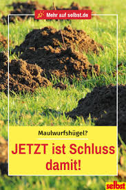 Maulwurf Bekampfen Maulwurf Bekampfen Maulwurf Im Garten Und Maulwurf Vertreiben