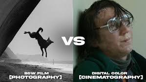 A Photography FORMULA to make great Photography PROJECTS! Be a better  photographer in 10 minutes!