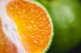 Buy owari satsuma mandarin trees (citrus reticulata 'owari'). Green Satsumas 600g Riverford