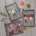 Pressed Flower Frames Class