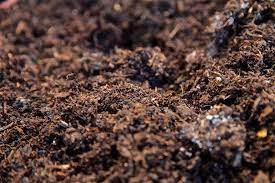 Maybe you would like to learn more about one of these? How To Avoid Common Grass Seed Mistakes