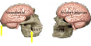 images?q=tbn:ANd9GcQsXOAECtprbM5SVKAonMa