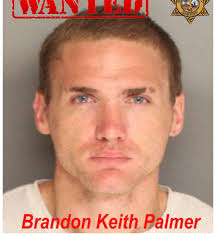 25 arrested in Berkeley County drug sweep