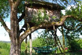 Weitere ideen zu baumhaus, haus, stelzenhaus. Projekt Baumhaus Was Muss Ich Beachten Ratgeber Diybook De