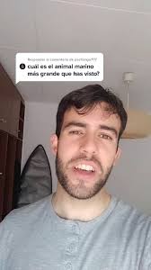 Responder a @pachanga777 #tiburon #tiburonmartillo