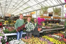 Al méér dan 20 jaar zijn zomerbloeiers voor in bloembakken of sierpotten te planten onze specialiteit! Perkplanten Kuipplanten En De Lekkerste Groenteplanten En Kruiden