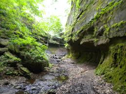 When bodies covered the ground in more or less of a layer, ss men scraped sand down from the ravine walls to cover them. Creek Ravines