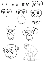 Drawing Chimpanzee Art Drawings For Kids Drawing Tutorial Drawings