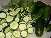 Why cucumbers become round cucumbers need a lot of water, as well as good drainage, to keep them perky and perfectly formed over the weeks of growing. Cucumber Wikipedia