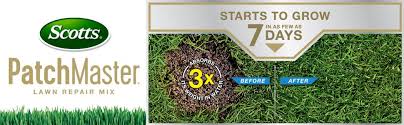 This grass seed mix is a special blend that thrives in harsh summer conditions of sun, shade, heat and drought, and high traffic. Amazon Com Scotts Patchmaster Lawn Repair Mix Southern Gold Mix 4 75 Lbs All In One Bare Spot Repair Feeds For Up To 6 Weeks Fast Growth And Thick Results Covers Up To 115