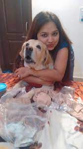 Partners dog training has the best dog boarding because they will never be bored! Pet Hotel Home Pet Boarding In Frankfurt Am Main Frankfurt Am Main Niyoma With Paws Petbacker Hesse