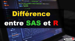 Difference Entre Sas Et R Waytolearnx