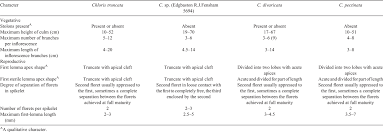 Image result for Chloris mossambicensis