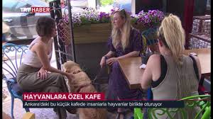 Goofy S Coffee Tea Hayvan Kafe Youtube