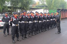 Read more yayasan scurity pt yppi karawang : Pasopati Guardian Security Services