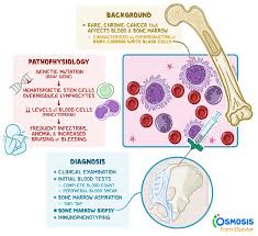 Image result for Leukemia