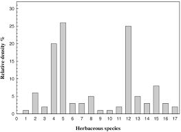 Image result for Bothriochloa radicans