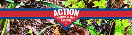 Action termite and pest control based in toms river, new jersey with offices in red bank, nj and south toms river i hired action termite and pest control as a termite exterminator when i discovered termites under the back porch. Action Termite Pest Control Keep Your Home Bug Free