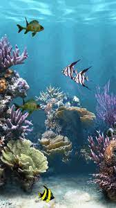 Marine Life Gif S Aquarium Live Wallpaper Ocean Aquarium Marine Life