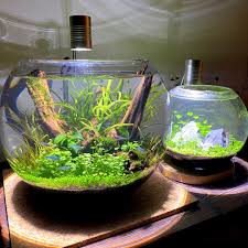 ボトルの住人。 | In Your Corner