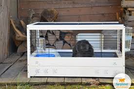 Rabbits cannot endure water deprivation for more then 24 hours (even less during hot weather) without serious health consequences. Leaving The Rabbit At Home Alone Love Ferplast