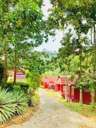 See more of serene resort & training centre2, janda baik on facebook. Serene Resort Training Centre Room Reviews Photos Kampung Janda Baik 2021 Deals Price Trip Com