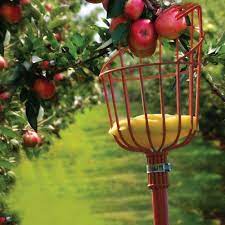 Apple picking is an activity found at apple farms. 9 Best Fruit Picker Tool 2020 Buyer S Guide Best Garden Outdoor