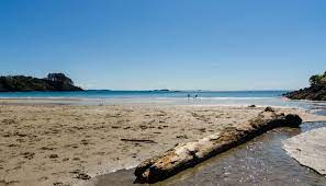 Das wetter in auckland, neuseeland. Klimatabelle Auckland Klima Temperatur Wetter Fur Auckland