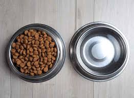 Haji Aarif Danish Murga Mandi in Sikandrabad,Sikandrabad