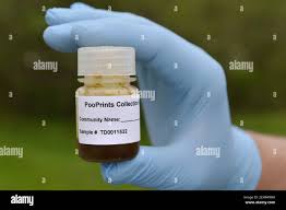 Die Verwaltung der Wau Lin Cree Apartments ist müde von den Bewohnern, die  ihre Hunde nicht abholen, und hat PooPrints, eine Haustierabfallfirma,  beauftragt, ihnen zu helfen, unordentliche Bewohner und ihre Hunde zu