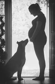 5 out of 5 stars. 20 Cute Maternity Photoshoot Ideas To Try In 2020 500px