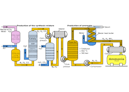 Ammonia By Tristan Brown Infographic