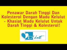 Kelebihan madu kelulut berbanding madu lebah. Penawar Darah Tinggi Dan Kolesterol Dengan Madu Kelulut Khasiat Madu Kelulut Paksu 012 7092198 Youtube