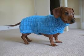 It's perfect to inspire both the beginner knitter and dog lover. Sweater Pattern For Mini Dachshunds Doxie Dachshund Knitted Dog Sweater Small Dog Blue Squares Crochet Dog Clothes Crochet Dog Sweater Small Dog Sweaters