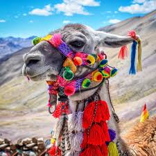 Coat o airms o bolivie (sco); Jesus Como El Creador On Instagram Cultura Creada En Los Pueblos Y Destruida En Las Ciudades Rain Rainbow Mountain Rainbow Mountain Cusco Instagram
