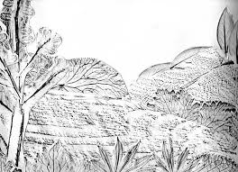 Resultado de imagen para max ernst frottage