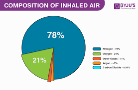 How much nitrogen is in the air we breathe? Gasses We Breathe In And Breathe Out The Composition Of Air
