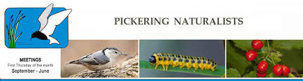 Pickering Naturalists