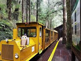 The site owner hides the web page description. å®œè˜­å¤ªå¹³å±±åœ‹å®¶æ£®æž—éŠæ¨‚å€10 ç¨®çŽ©æ³• å¤ªå¹³å±±è¹¦è¹¦è»Š Tripmoment æ™‚åˆ»æ—…è¡Œ