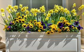 Window boxes add charm and a splash of color to a home's exterior. How To Create The Perfect Window Box David Domoney