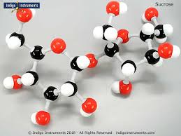 Restriction map analysis revealed its high similarity to the sequenced sucrose utilization locus of pediococcus pentosaceus psrq1. Sucrose Structure Molecule Model Kit Molymod Style