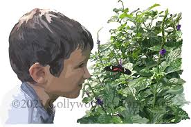 Collywobbles Paper Art by Alexia Parker