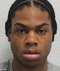 Parents of man murdered by Jamaican criminal slam celebs who spoke out to  help block his deportation