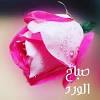 This free moroccan arabic dialect darija lesson helps you understand and learn the basics of interacting, saying hello, and how to respond in the moroccan arabic language. 1