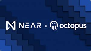 So, what makes them different from their older peers? Introducing Octopus The Appchain Network Of Near S Future Near Guilds