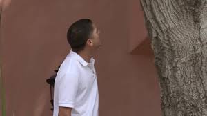 La Mosquera XXX HD Videos.